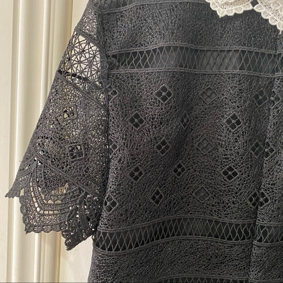 NWT Zara Black Lace Collared Shift A Line Dress XS - Picture 14 of 14